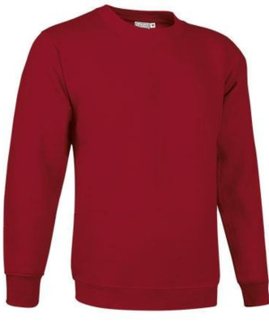 Unisex džemperis "DUBLIN" (ir noliktavā)