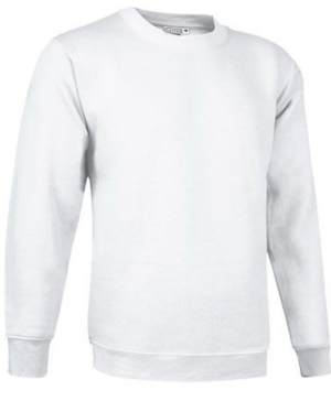 Unisex džemperis "DUBLIN" (yra sandėlyje)