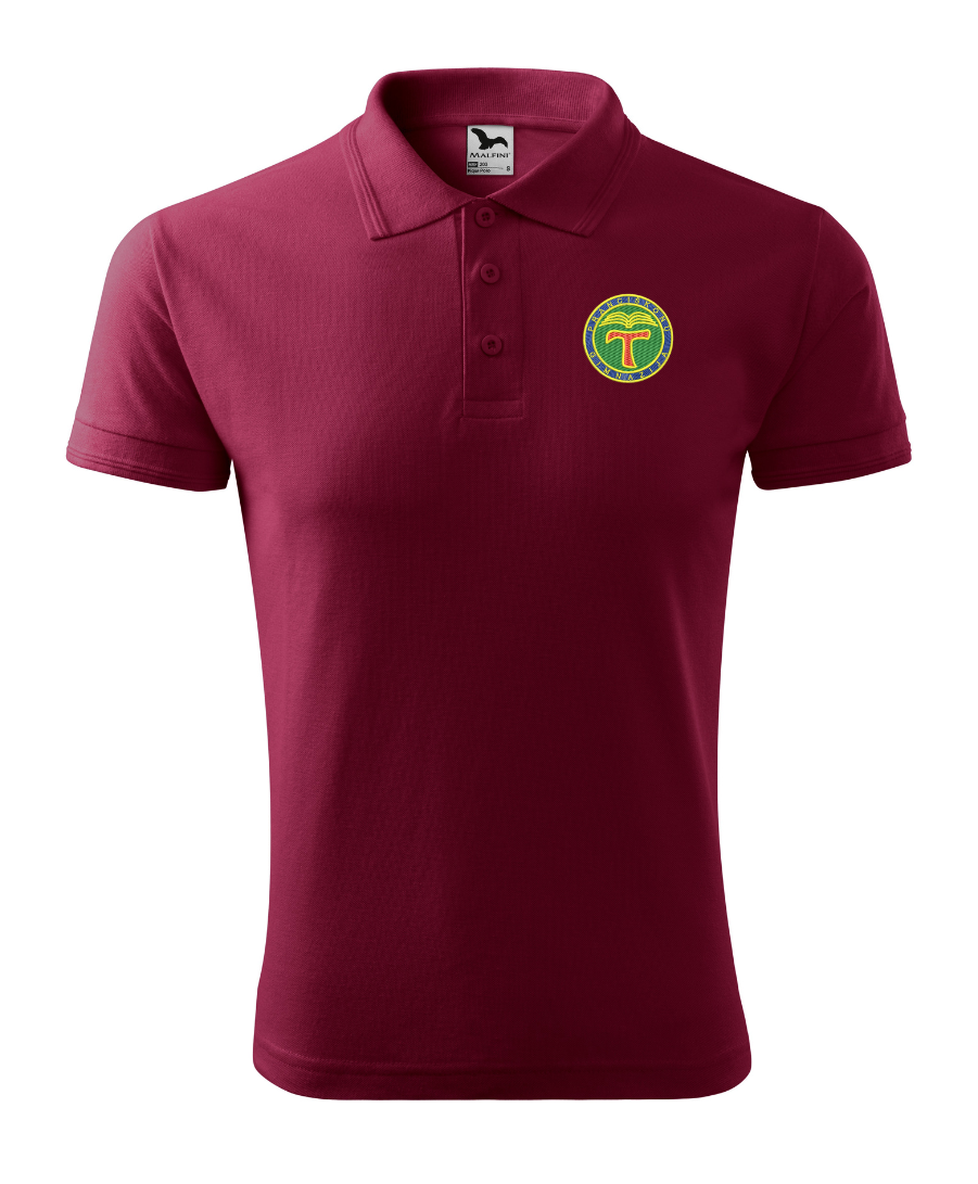 Pranciškonų Gimnazijos polo marškinėliai vaikinams su logo 203