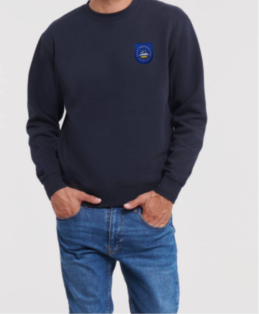 Šiaulių Dainų progimnazijos džemperis su logo 262/265