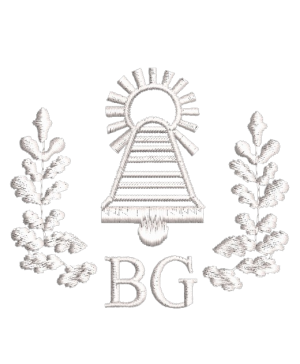 Birštono gimnazijos džemperis su logo 262/265