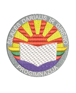 Šilalės Dariaus ir Girėno progimnazijos džemperis su logo 262/265