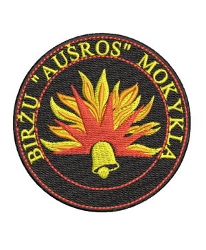 Biržų "Aušros" pagrindinės mokyklos džemperis su logo 262/265