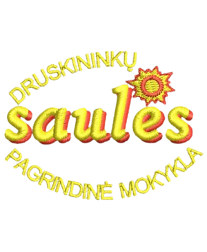 Druskininkų Saulės pagrindinės mokyklos džemperis su logo 262/265